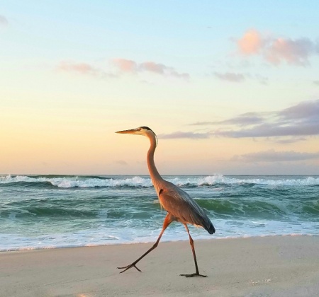 Thing To Do Featured Rentals